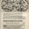 Untitled [Celestial Double Hemisphere]