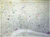 Cassell's Map Of London (Central Sheet) ...