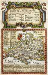 Dorset Shire