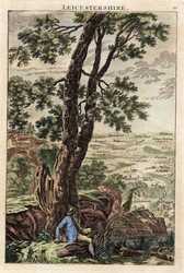 Leicestershire
