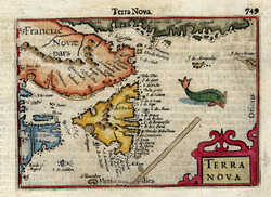 Terra Nova