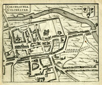 Colchestria Colchester : R.Hermannides