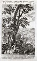 Leicester Shire ... 1752