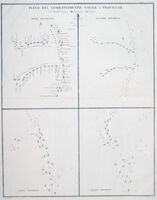 Plano Del Combattimento Navale A Trafalgar : L.De Salvatori / F.Gatti & G.Dura
