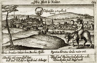 Ochsebfuhrt In Engellandt : D.Meissner