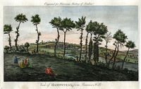 View Of Hampstead From Primrose Hill : W.Harrison