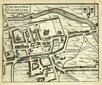 Colchestria Colchester