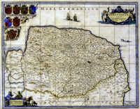 Norfolcia