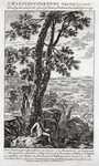 Leicester Shire ... 1752